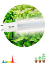 Лампа (LED) для растен. (рассада) T8 1200мм G13 18Вт 32,4 мкмоль/с 440...660нм 4000К 230В FITO ЭРА