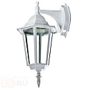 Светильник уличный бра Е27 IP43 алюм белый Camelion-Светильники настенно-потолочные - купить по низкой цене в интернет-магазине, характеристики, отзывы | АВС-электро